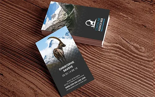 Com'online Logo et carte de visite